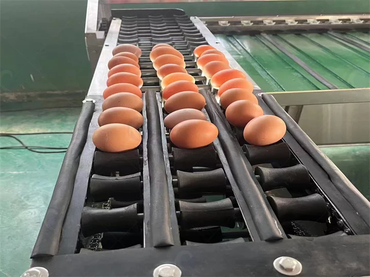 Egg optical inspection