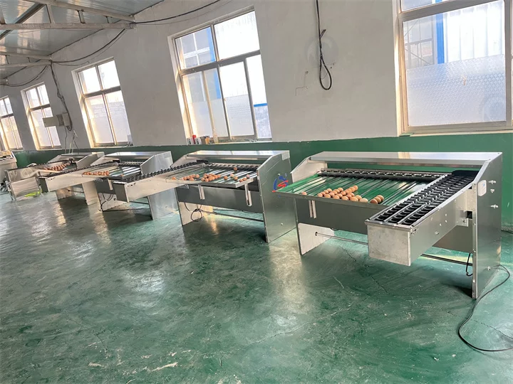Different models egg sorting machine for sale